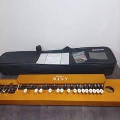 極美品 大正琴 あすなろ 鈴木楽器製作所 フルセット TAS-12 - メルカリ