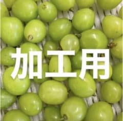【加工前提】シャインマスカット【訳あり】のサムネイル