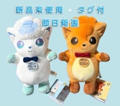 ポケモンActs物産展 北海道だいすき発見隊 アローラロコン ロコン