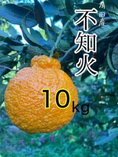 和歌山産有田の不知火（デコポン）10キロのサムネイル