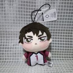 ハイキュー!! ちょぴぬいぷち⑦　牛島若利　b