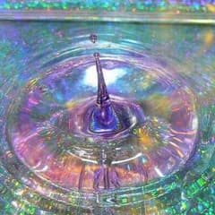 リサ様専用のサムネイル