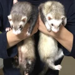 登坂様専用のサムネイル