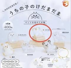 うちの子のけだまだま プードルのサムネイル