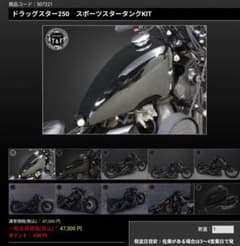 atjptさん専用】ガレージT＆F DS250 スポーツスタータンクKIT - メルカリ