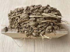 ツバメの人工巣 壁付け用板貼り一体式タイプ(グレー色)新品・未使用品