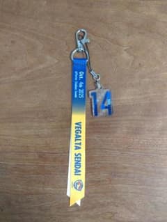 RB大宮アルディージャ マッチデーボンフィン No.14 泉 - メルカリ