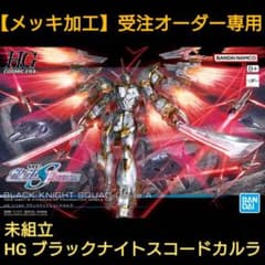 未組立【メッキ加工】HG ブラックナイトスコードカルラ ガンダム SEED 未組立【メッキ加工】HG ブラックナイトスコードカルラ ガンダム SEED