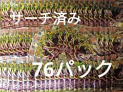ポケモンカード アビスアイ 76パック サーチ済み - メルカリ