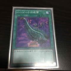 ハーピィの羽根箒のサムネイル