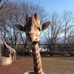 あんず様専用のサムネイル
