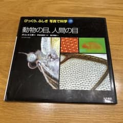 動物の目、人間の目のサムネイル