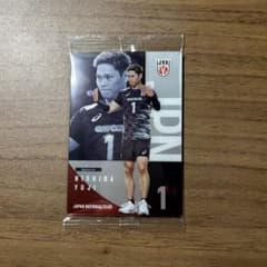 西田有志 バレーボール 日本代表 トレーディングカードのサムネイル