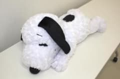 PEANUTS 스누피 봉제 인형