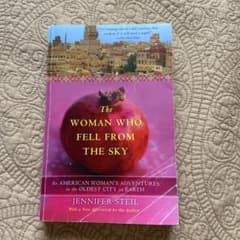 The Woman Who Fell From The Skyのサムネイル