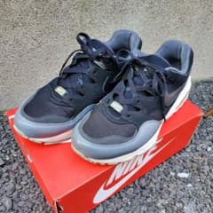 NIKE AIRMAX94　10.5のサムネイル
