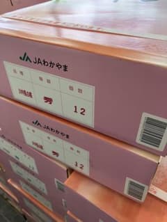 JA和歌山（紀の里 東部）桃 『川中島白桃』 赤秀 12玉 4kg up×2箱