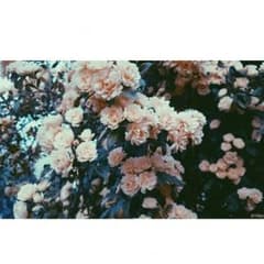 :) 様 専用のサムネイル