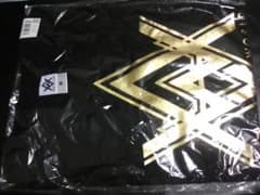 新品 EXILE AMAZING WORLD ツアーTシャツ　サイズMのサムネイル