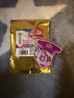 福岡ソフトバンクホークス 選手応援歌 シークレットアクリルキーチェーンのサムネイル