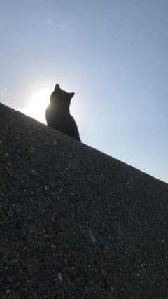 nari様のサムネイル