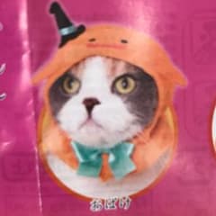 ねこハロウィンちゃん【おばけ】のみのサムネイル