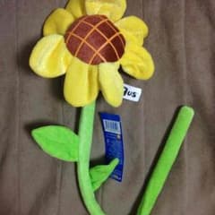 ひまわり 遊助のサムネイル