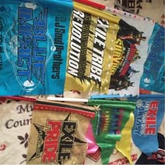 EXILE TRIBE LIVE フラッグ ライトのサムネイル