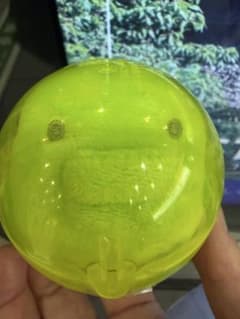 たまごっち ガチャガチャ ぬいぐるみマスコット くちぱっちのサムネイル