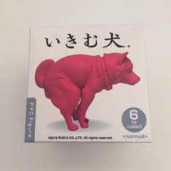 いきむ犬 柴犬・和犬のサムネイル