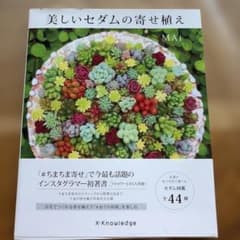 美しいセダムの寄せ植えのサムネイル