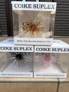 COIKE SUPLEX コイケスープレックス 3色セット - メルカリ