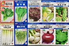 野菜の種【タキイ】今〜夏秋★美味しいお得な10種類セットのサムネイル
