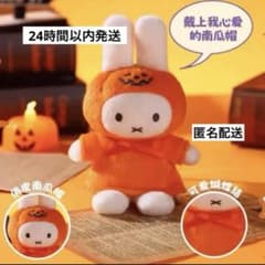 VIPO × ミッフィー ハロウィン【カボチャ】ぬいぐるみ