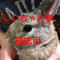 しいちゃん様確認用のサムネイル