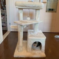 キャットタワーのサムネイル