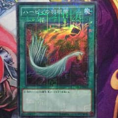ハーピィの羽根箒のサムネイル