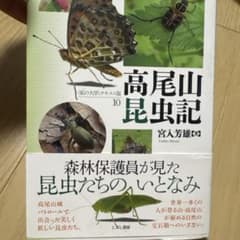 高尾山昆虫記 森林保護員が見た昆虫たちのいとなみのサムネイル