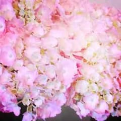 ☆tutu Paris★ 様 専用のサムネイル