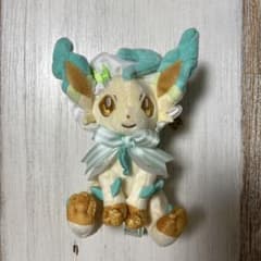 m63858069670_1.jpg?1723552832