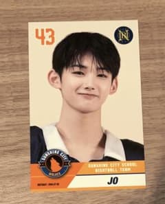 &team JO ユニバ盤　プレイヤーカードnowのサムネイル