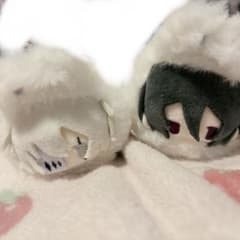 文豪ストレイドッグス たぴぬいフョードル・ドストエフスキー　ニコライ・Gのサムネイル