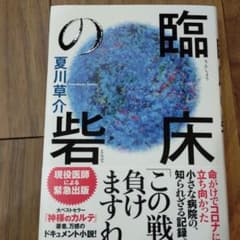 臨床の砦のサムネイル