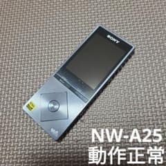 SONY ウォークマン NW-A25 16GB ブラック 動作確認済 - メルカリ