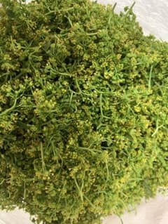花山椒400g以上。佃煮にいかがでしょうか？ 花山椒400g以上。佃煮にいかがでしょうか？ - メルカリ