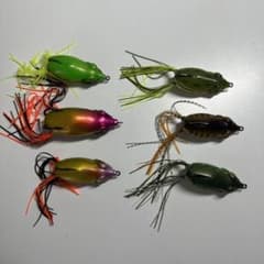 エバーグリーン　フロッグのサムネイル