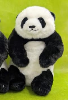 タグ付き】上野動物園 パンダ ぬいぐるみ レイレイ 蕾蕾 ミニ抱っこ