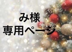 み様専用ページ❣️揺れるチャームエメラルドグリーン⭐️オーロラ雫マスクマグネットのサムネイル