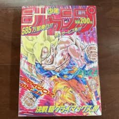 週刊少年ジャンプ1991年　41号　1994年　21-22号　当時物　希少セット 週刊少年ジャンプ 1991年 21・22合併号 当時物 - メルカリ
