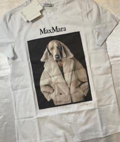 m63906753413_1.jpg?1715665812